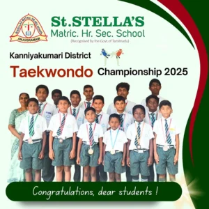 Read more about the article Taekwondo Championship 2025