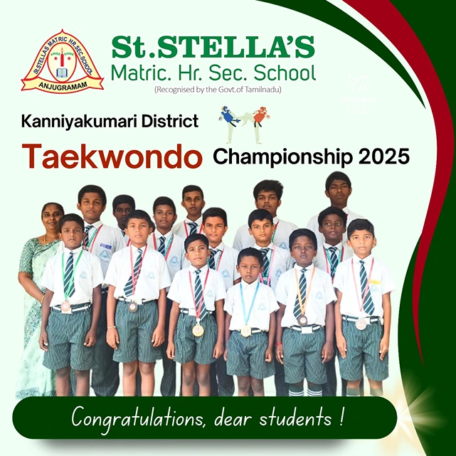 Taekwondo Championship 2025